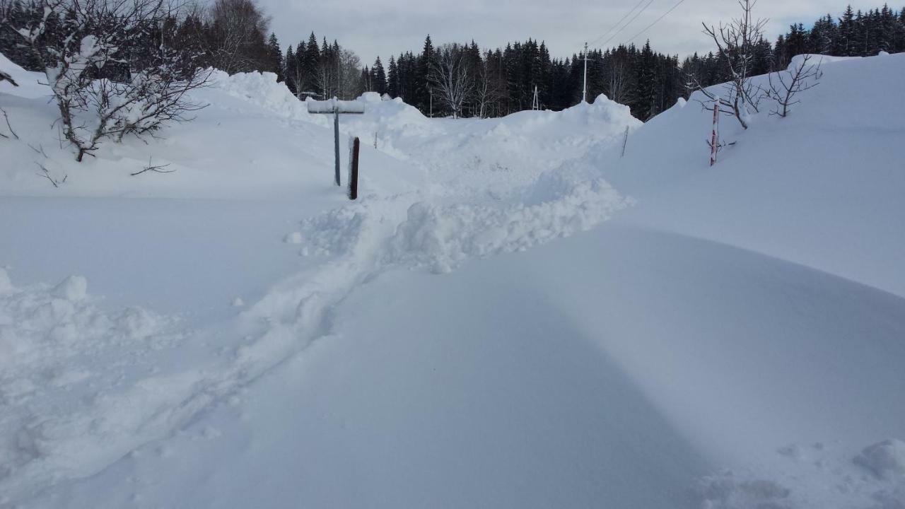 Apartamento Haus Ferienglück Ramsau am Dachstein Exterior foto